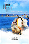 西藏旅游