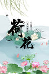荷花