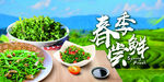 蕨菜