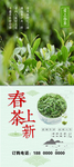 新茶上市