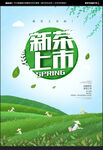 新茶上市