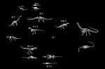 恐龙骨架CAD图