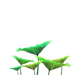插画荷叶植物元素