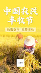 中国农民丰收节