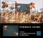 户外森系婚礼  莫兰迪婚礼