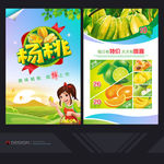 杨桃