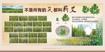 艾灸艾叶蕲艾来源简介