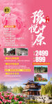河南 郭亮村 牡丹花 洛阳 郁