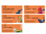 公寓刷屏系列