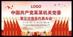 党员代表大会