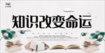 阅读