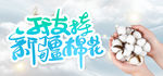 我支持新疆棉花
