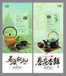 春茶献礼