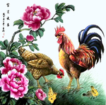 公鸡