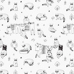 动物 卡通 浣熊