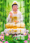 观音菩萨