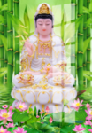 观音菩萨
