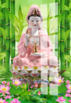 观音菩萨
