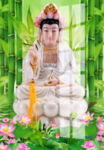 观音菩萨
