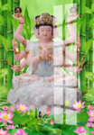 斗姆元君