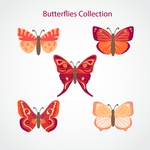 彩色蝴蝶花鸟昆虫图案素材矢量