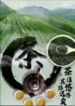 茶道文化新茶上市海报