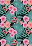 牡丹花开
