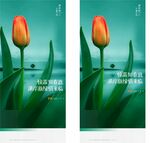 地产惊蛰微海报