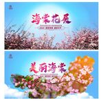海棠花