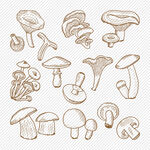 菌菇手绘线描矢量