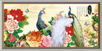孔雀图花开富贵装饰画无框画