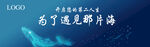 蓝色 鱼 地产 海