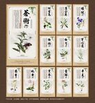 本草养生