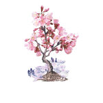 梅花