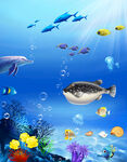 海底生物