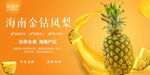 菠萝展板 凤梨展板
