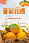 柑橘