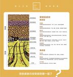 皮肤管理