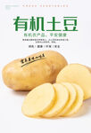 土豆海报