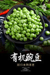 豌豆海报