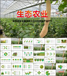 智慧农业大棚蔬菜农副产品PPT