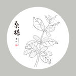 手绘桑葚 