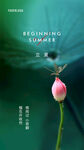 立夏