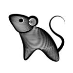 鼠矢量插画