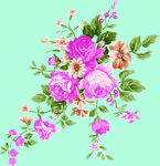 玫瑰花