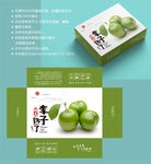 李子包装