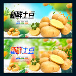 土豆