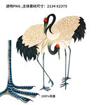 高清仙鹤透明素材