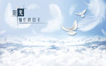 蓝天白云白鸽羽毛立体背景墙壁画