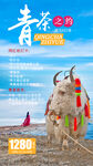 青海旅游海报